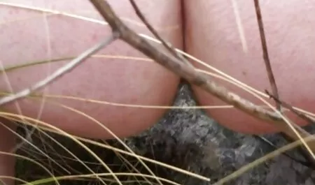 Moja mama straciła młodego kutasa filmy porno z babciami za darmo