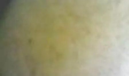 Bez ograniczeń zacząłem się darmowe porno do pobrania masturbować i ssać w rękach masażystki