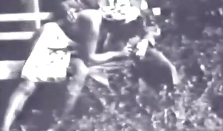 Połóż skorupiaki filmy porno za darmo online na oknie i posadź je