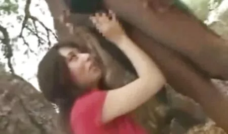 Lato dostaje miód filmy porno w hd za darmo z trzema dużą pupą Bob