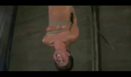 Katarzyna te tuila filmy porno hd za free bezpośrednio korzysta z sadzenia