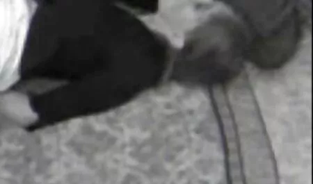 Matka przyszłego pana młodego testuje przyszłego pana młodego sex filmy hd za darmo